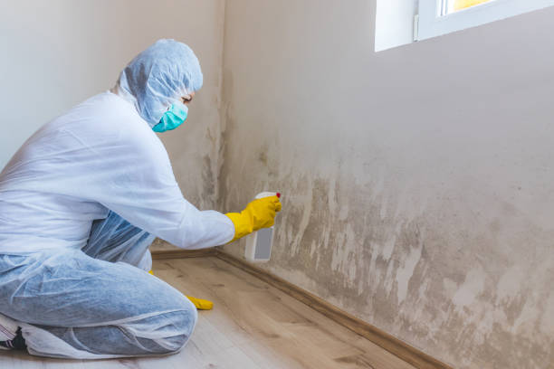 Commercial Mold Remediation assessment for commercial property in Ho-Ho-Kus